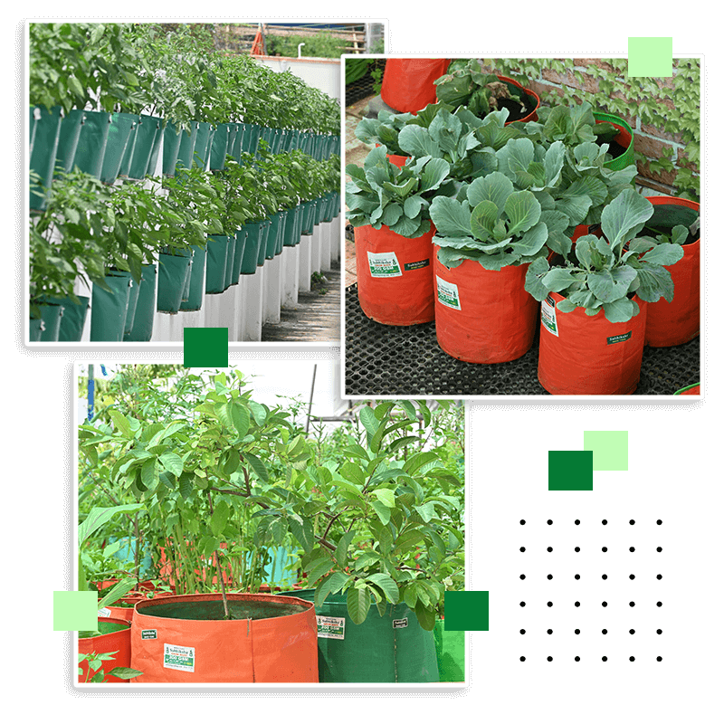 Largest Suppliers Of Grow Bags in Kerala