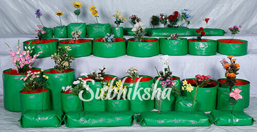 Best grow bags in Chennai