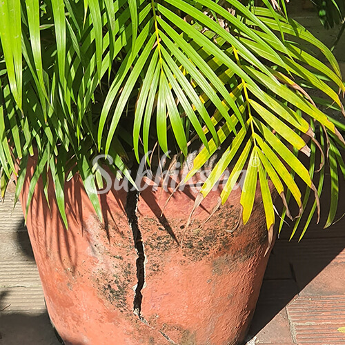 Best lightweight grow bags in Salem